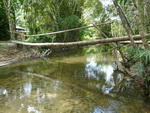Elefantentrekking in Pang Nga Asia Safari Park Bambusflossfahrt auf dem Fluss ein Brücke (TH).